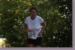 Carignan 02 279 * 680 x 453 * (86KB)
